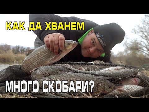 Видео: Как да хванем МНОГО СКОБАРИ? Как да си ВЪРЖЕМ ТАКЪМ...