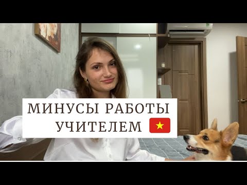 Видео: МИНУСЫ работы учителем во Вьетнаме | Документы 4200$ ??