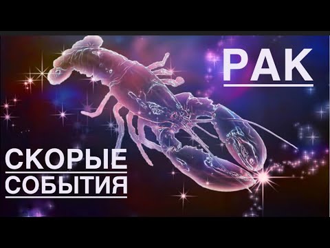 Видео: Рак ♋️ Вы не поверите 🙀Что ждёт Вас в самом ближайшем будущем 🗝❤️☀️✨💪