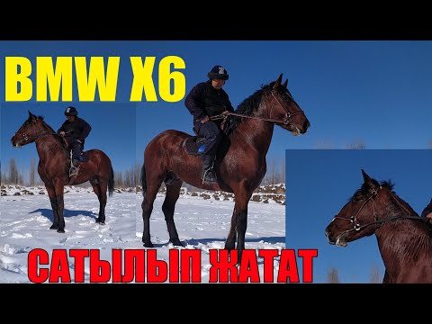 Видео: BMW ОРДУНАН АТЫРЫЛА Чуркаган АТ САТУУГА Чыгарылды