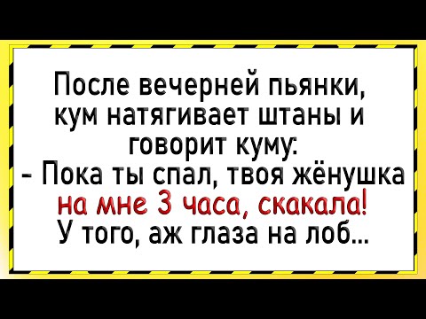 Видео: Как после пьянки, жену кума понесло! Сборник свежих анекдотов! Юмор!