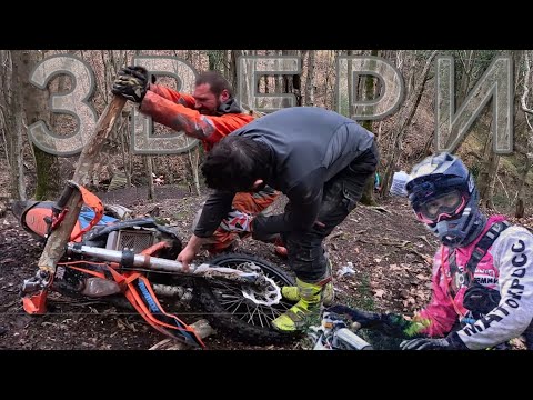 Видео: СТИЛЬ ЗВЕРЕЙ  НЕБЕРУЧКА УЖЕ НЕ ТОРТ