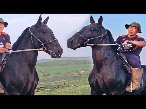Видео: Пай Пай Паай Тарпеда✊️