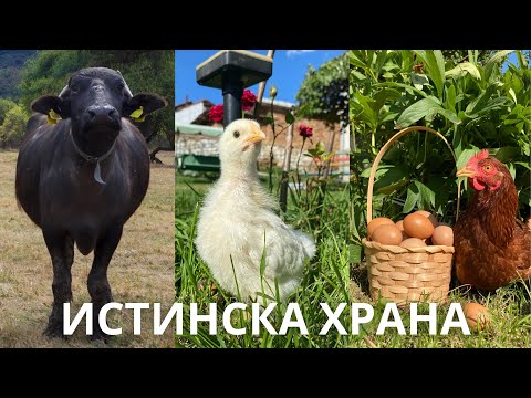 Видео: Какво произвежда стопанството "Истинска храна"