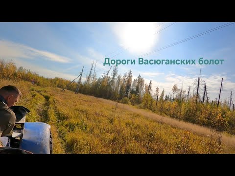 Видео: Едем по болоту на дальнюю станцию.