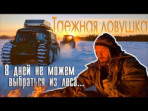 Видео: Таёжный капкан / Застряли на болоте и не можем выбраться