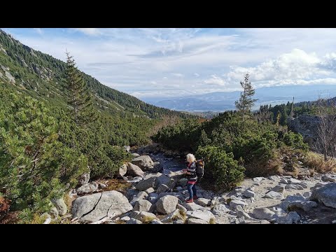 Видео: О пропаже семьи Усольцевых, размышления походника. 