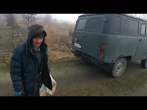 Видео: 26 января 2025 г.