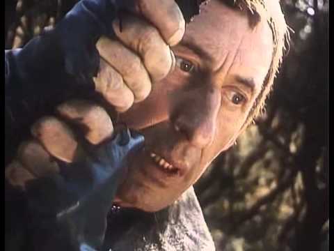 Видео: Травка. Цветы незабудки. Мама печёт пирожки.