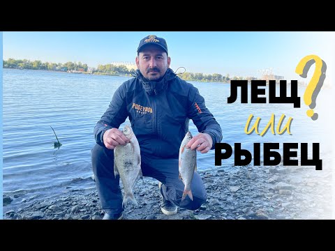 Видео: ФИДЕРНАЯ РЫБАЛКА В ЧЕРТЕ ГОРОДА. ВЫЛАЗКА НА РЫБЦА. ВСЕ КУРИЛИ, А Я ЛОВИЛ.