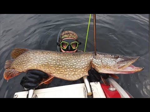 Видео: Подводная Охота 2022 " ДОБЫЧА САРАТОВА " Трофейные Щуки🐟 Варим уху и раков🦞