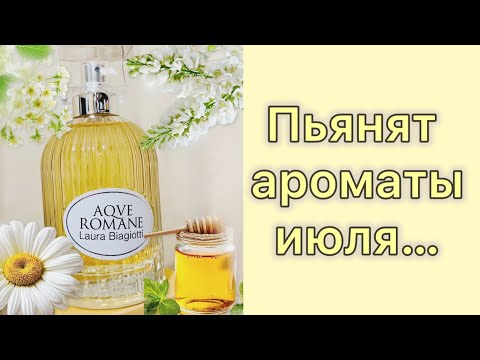 Видео: Из хмурого слякотного ноября - в солнечный июль!  Ambrosia Aurea Laura Biagiotti.