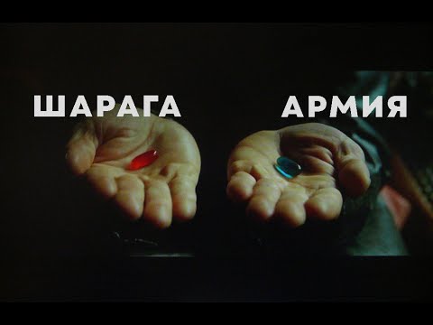 Видео: Армия или аспирантура?