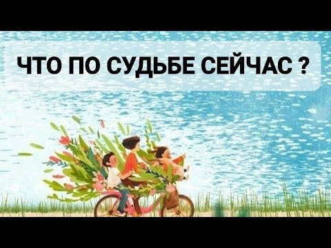 Видео: ЧТО ПО СУДЬБЕ СЕЙЧАС ?