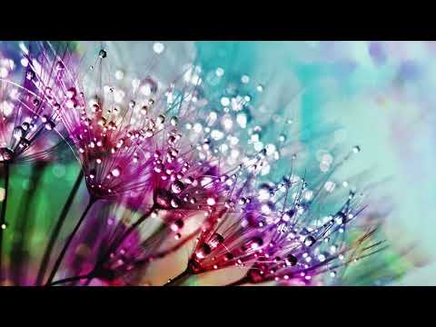 Видео: Авторская ПЕСНЯ  * Все в этом мире временно * есть о чем подумать