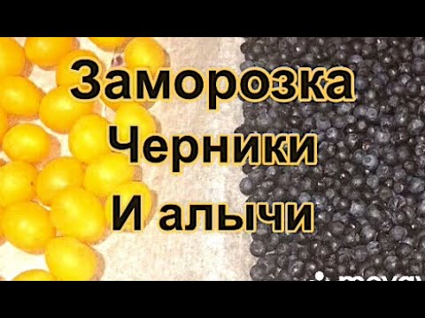 Видео: ‼️ОТЛИЧНЫЙ СПОСОБ ЗАМОРОЗКИ ЧЕРНИКИ И АЛЫЧИ👍‼️