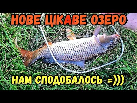 Видео: РИБОЛОВЛЯ НА ГАРНОМУ ОЗЕРІ / ШУКАЄМО НОВІ МІСЦЯ / ВСЕ БУЛО СУПЕР, НУ МАЙЖЕ ВСЕ...