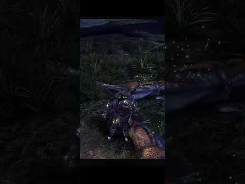 Видео: Первое прохождение игры Monster Hunter: World