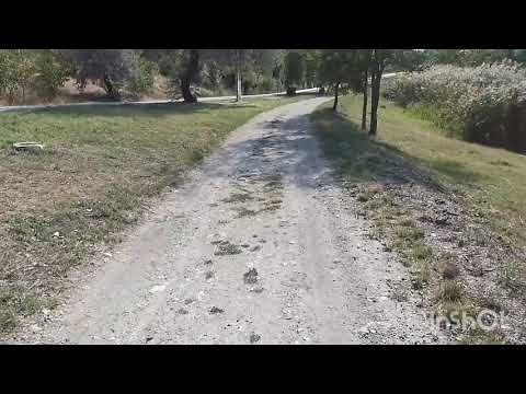 Видео: Бельцы городское озеро 