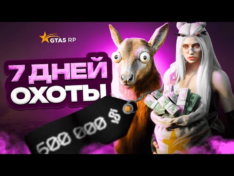 Видео: СКОЛЬКО ЗАРАБОТАЛА ЗА 7 ДНЕЙ НА ОБНОВЛЕННОЙ ОХОТЕ В GTA 5 RP? ЛУЧШИЕ МЕСТА ДЛЯ ОХОТЫ В ГТА 5 РП