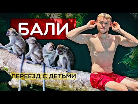 Видео: Увезли детей на Бали - Джунгли, опасные животные и роды в Азии