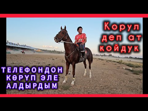 Видео: Кутман үч ат алмаштырдым дейт 👆👆👆