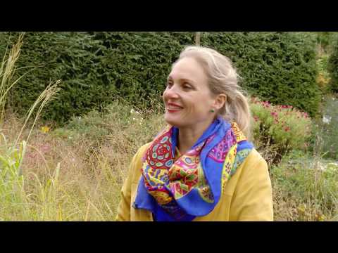 Видео: Поговорим о злаках. Как их можно использовать на дачном участке?