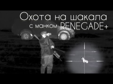 Видео: Ночная охота на хищника.