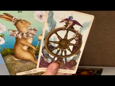 Видео: ТЕЛЕЦ! До 15/11/25! Все меняется только когда вы верны себе! 