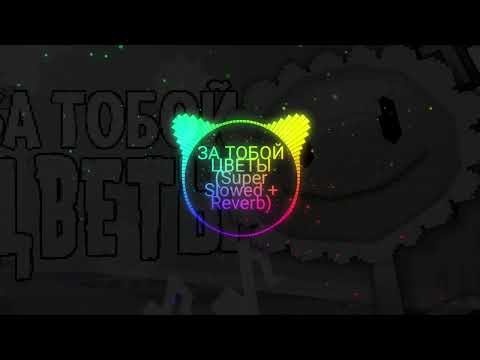 Видео: ЗА ТОБОЙ ЦВЕТЫ (Super Slowed + Reverb)