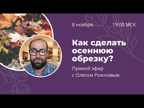 Видео: Как сделать осеннюю обрезку плодовых? Прямой эфир с Олегом Рожновым