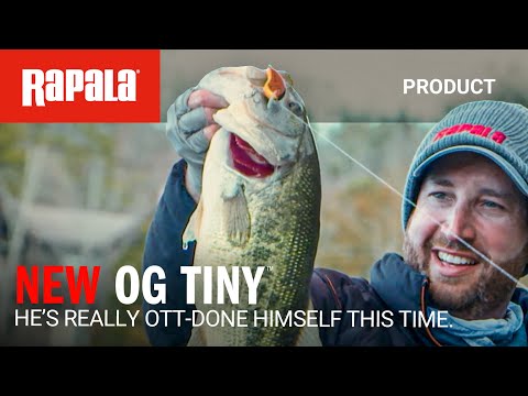 Видео: НОВЫЙ Rapala® OG Tiny 4 | На этот раз он действительно отличник.