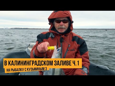 Видео: В Калининградском  заливе ч.1 / На рыбалку с Кузьминым 3 // №13