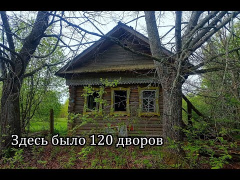 Видео: Заброшенная деревня ПЕРЖА, Кировская область