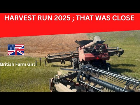 Видео: ЭТО БЫЛО БЛИЗКО: Урожайный забег 2025