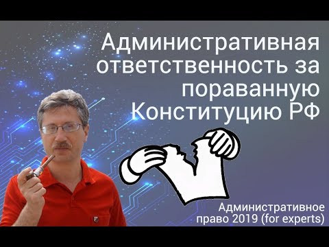 Видео: Административная ответственность за порванную Конституцию РФ