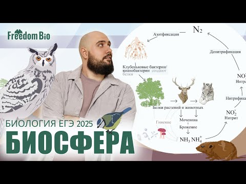 Видео: УЧЕНИЕ О БИОСФЕРЕ. Глобальная Экология |Экология| ЕГЭ БИОЛОГИЯ 2025|Freedom|
