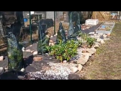 Видео: 23.04.23.Дача Открытие сезона 2023..3 часть