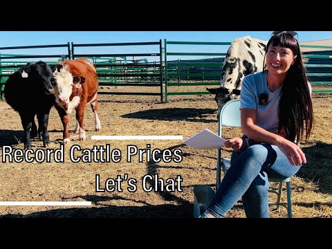 Видео: Почему цены на говядину такие высокие (с точки зрения фермера)