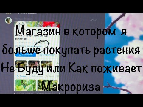 Видео: Магазин в котором я больше покупать растения Не Буду или Как поживает Макрориза