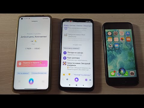 Видео: Бой голосовых ассистентов Алиса vs Маруся vs Siri . Яндекс vs Mail.ru vs Apple