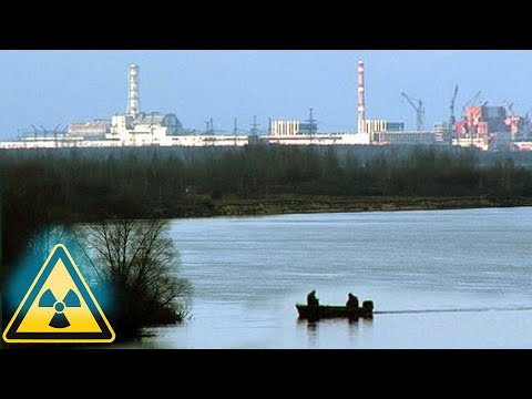 Видео: Яку рибу можна зловити в Прип'яті / Рибалка в Чорнобилі у 2022 році