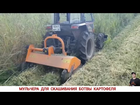 Видео: МУЛЬЧЕРА ДЛЯ СКАШИВАНИЯ БОТВЫ КАРТОФЕЛЯ, ПОДБОРКА ВИДЕО / MULCHER FOR MOWING POTATO LEAVES