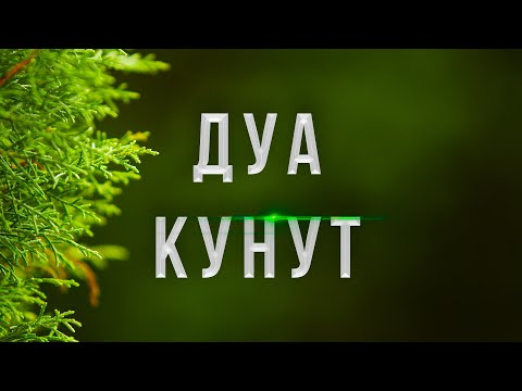 Видео: ДУА КУНУТ - КРАСИВОЕ ЧТЕНИЕ ДУА КУНУТ | СЛУШАТЬ ДУА КУНУТ 7X