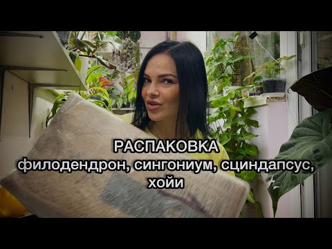 Видео: Распаковка новых растений🌱Голландия