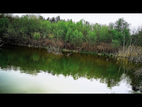 Видео: ШАРАНЧЕТА на ЦАРЕВИЦА. РИБОЛОВ на ПЛУВКА