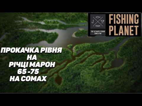 Видео: Fishing Planet: Річка Марон СОМИ фарм та прокачка 65-75 рівня