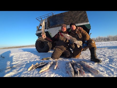 Видео: НЕ УСПЕЛИ ВЫСТАВИТЬ, КАК ПОНЕСЛАСЬ! РУКИ В КРОВЬ, ЩУКИ ЗЛЫЕ КАК СОБАКИ \ НОЧЬ НА ЛЬДУ В ВЕЗДЕХОДЕ !