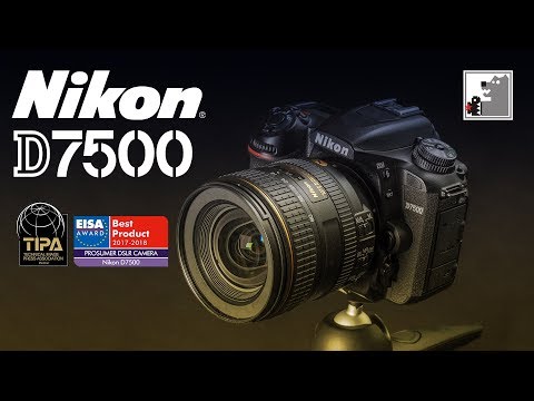 Видео: NIKON D7500  |  Ещё один художник