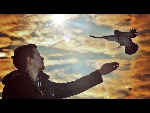Видео: ГОЛУБКА, КОТОРАЯ СПАСЛА МЕНЯ